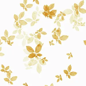 Crazy: Beech, Fagus sylvatica, abstract pattern of leaves, colour m