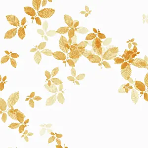Crazy: Beech, Fagus sylvatica, abstract pattern of leaves, colour m