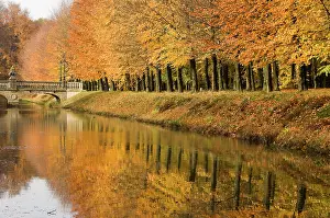 Moats: Beech Trees - Autumn colours - Moat with castle bridge