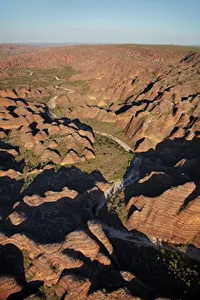 Bungle: Beehives, Bungle Bungles, and Piccaninny