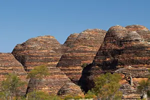 Bungle: Beehives, Bungle Bungles, Purnululu National