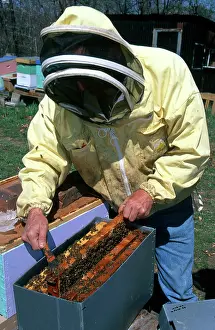 Comb: Beekeeper With Bees