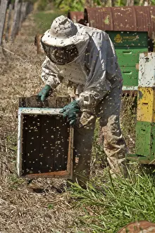 Mask: Beekeeper swarmed by bees