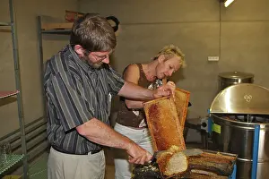 Release: Beekeepers - cutting comb with knife to release honey