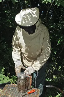 Beekeepers: Beekeepers - with smoker to subdue bees before