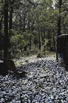 Cans: Beer Can Dump