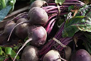 Beetroot: Beetroot