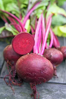 Beetroot: Beetroot