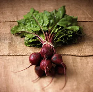 Superfood: Beetroot, Beta vulgaris, Red subject