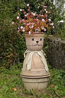 Sculptures: Begonia in a flowerpot Cat-headed in a village