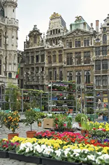 Brussels: Belgium, Brussels-Capital Region, Brussels
