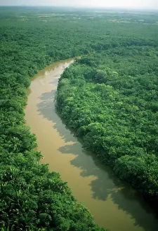 Waterway: Belize, aerial of Belize River and lowland