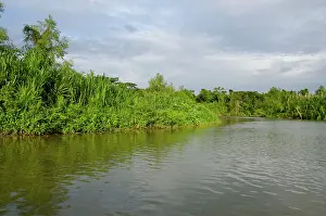 Toledo: Belize, District of Toledo, Monkey River
