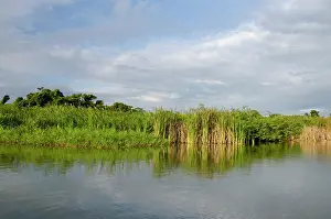 Toledo: Belize, District of Toledo, Monkey River