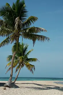 Goff: Belize. Goff Caye, a popular Barrier Reef