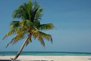 Aqua: Belize. Goff Caye, a popular Barrier Reef
