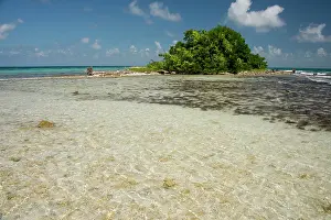Belizean: Belize, Stann Creek District near Placencia