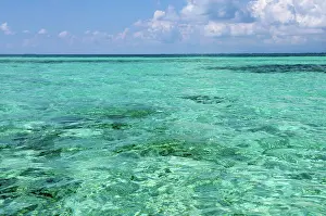 Belizean: Belize, Stann Creek, Southwater Cay. Clear
