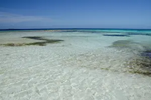 Aqua: Belize, Wild Orchid Caye (aka Moho Caye)