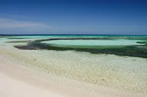 Aqua: Belize, Wild Orchid Caye (aka Moho Caye)