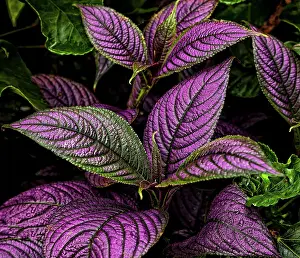Leave: Bellingrath Gardens in Theodore, Alabama