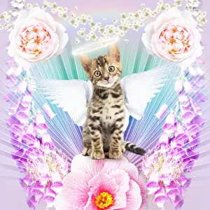 Angels: Bengal Cat, kitten with angel wings and halo surrounded