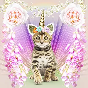 Unicorn: Bengal Cat, kitten wearing unicorn horn head band