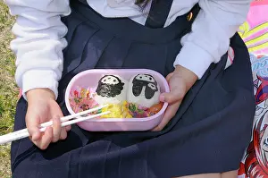 Rearing: Bento, breakfast box of a Japanese schoolgirl, Kyoto