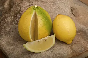 Smaller: Bergamote - and lemon (smaller)