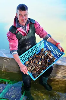Shellfish: Bernard Montauzier, oyster farmer