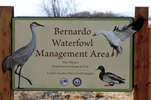 Bernardo: Bernardo Waterfowl Management Area - Ladd S. Gordon