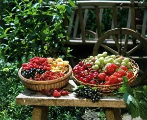 Baskets: Berries in baskets