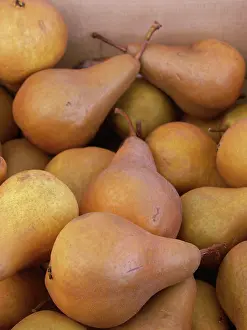 Pears: Pears