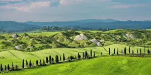 Siena: Biancane di Leonina, hilly landscape with cypres