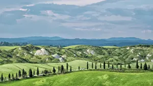 Siena: Biancane di Leonina, hilly landscape with cypresses