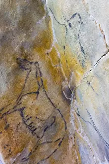 Creed: Big frieze of rock painting Cave of Las Monedas Spain