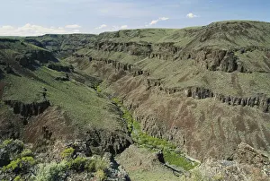 Study: Big Jacks Creek, Idaho