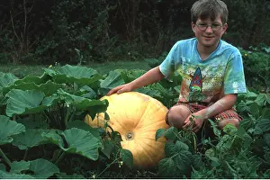 Size: Big PUMPKIN - with boy beside it