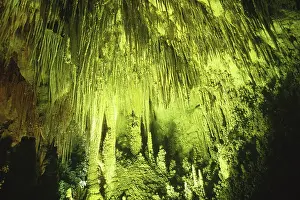 Speleothems: Big Room, Carlsbad Caverns