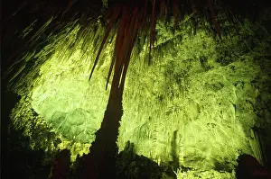 Speleothems: Big Room, Carlsbad Caverns