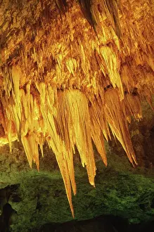 Speleothems: Big Room, Carlsbad Caverns