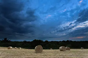 Bales: Big round bales of hay at mown field by sunset with dark clo