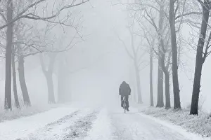 Hoar: A biker cycles on a snow-covered road under a frosted hedge
