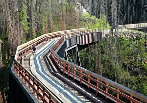 Model: Biker rides across trestle in Myra Canyon