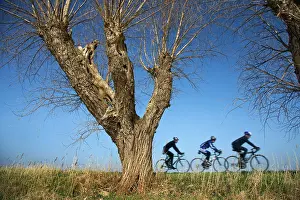 Dyke: Bikers / Cyclists - on dyke with Knotted Willow tree