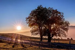 Bicycle: Bikers at sunset on Mont Sal&, x8da5;, Haute-Savoie