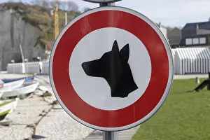 Towns: Billboard ban dog on the beach