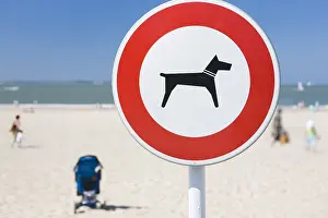 Signs: Billboard ban dogs on a beach in France