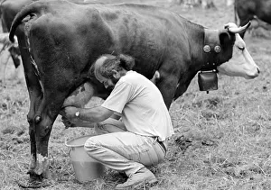 Cattleman: BIO
