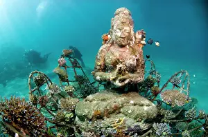 Structures: Bio-rock project, Indonesia, Bali